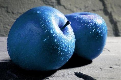 Blue apples - Blue Apples Metaphysical & Wellness, Gabriola, BC. 672 likes · 10 talking about this. Blue Apples carries crystals & gems, jewelry, incense & oils, tarot & oracles, + more! Blue Apples Metaphysical & Wellness